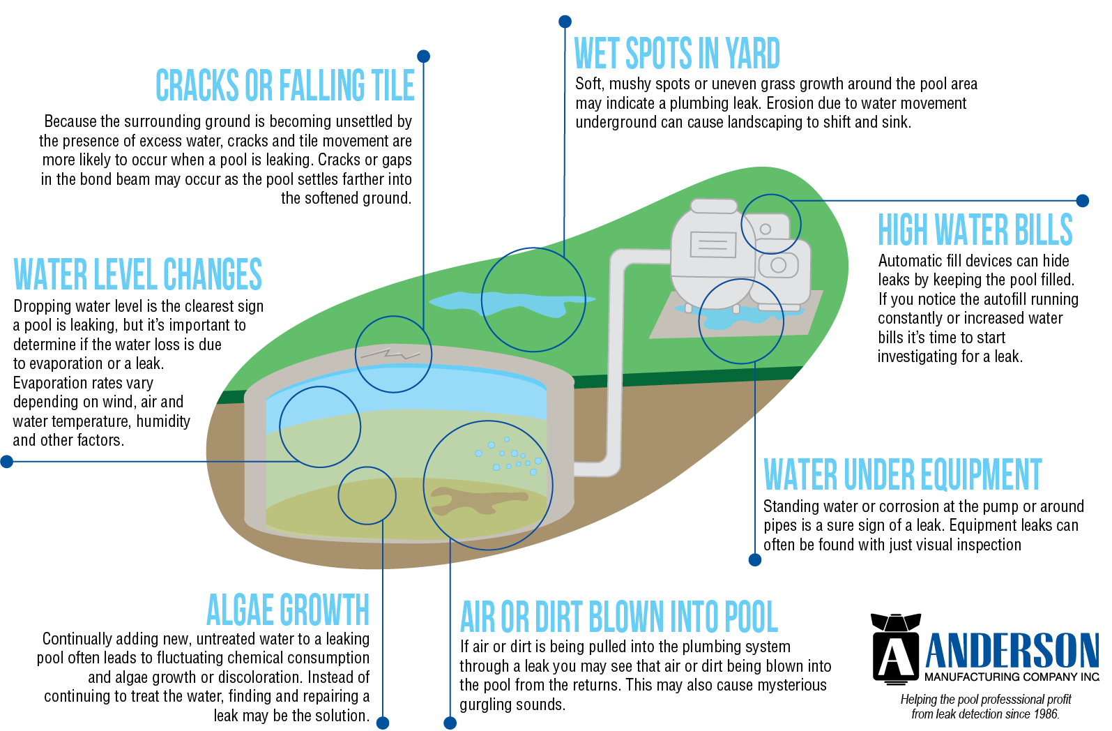 infographic showing the common signs of a leaking pool